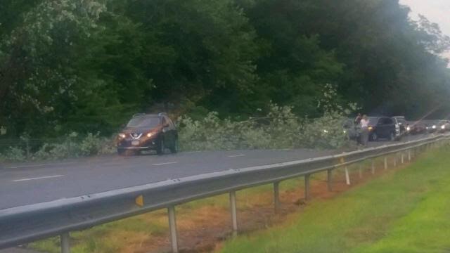 fairfield merritt tree down